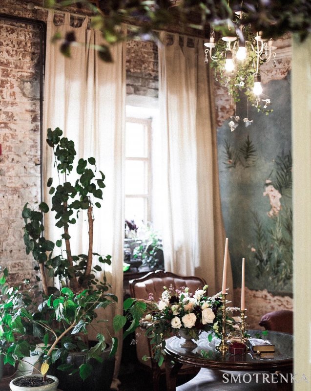 Catless decor