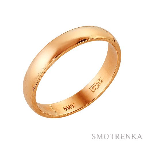 Серебряная чайка