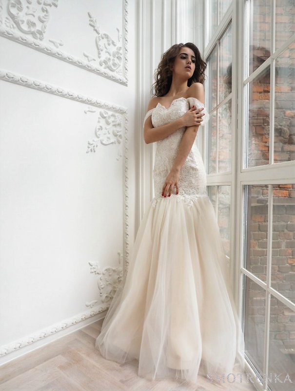 Valentina Polli