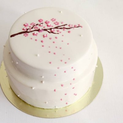 Volga cakes