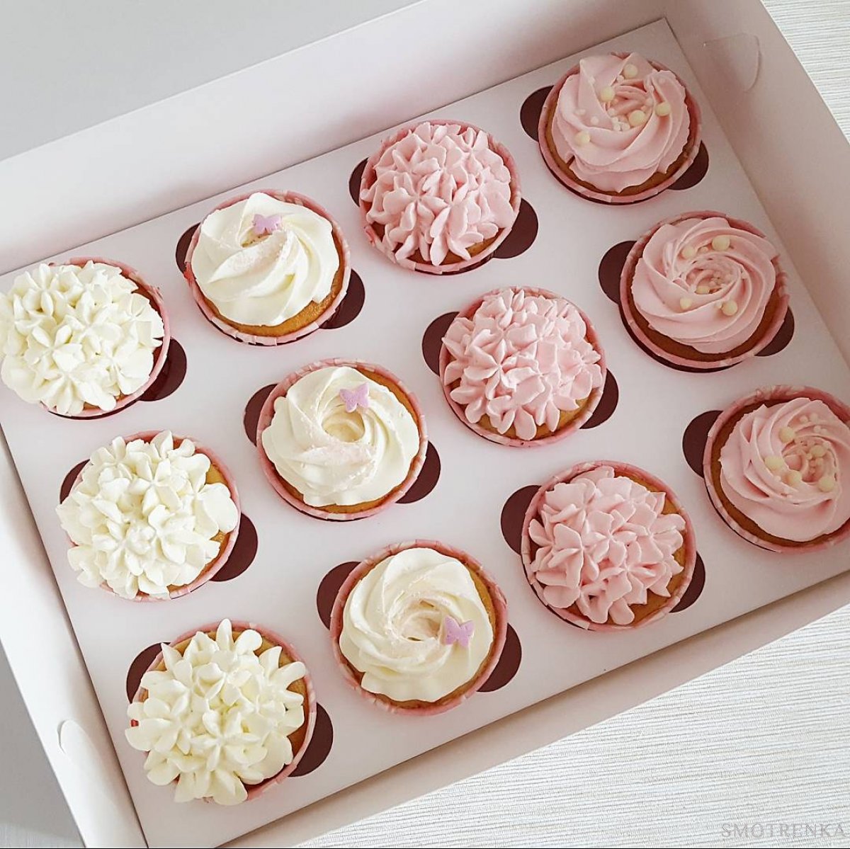Volga cakes