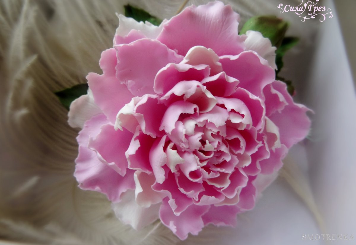 Сила Грез ✨Украшения из полимерной глины