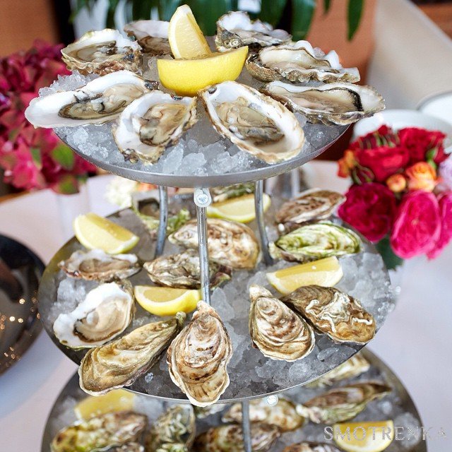 Novikov Catering
