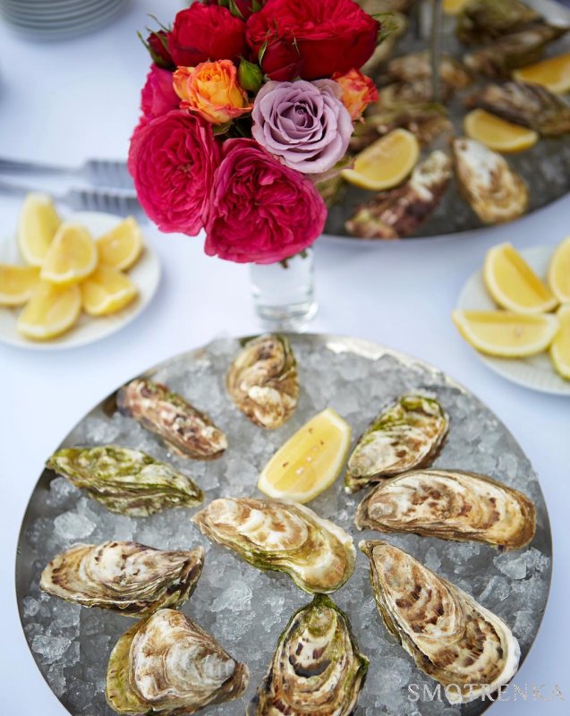 Novikov Catering
