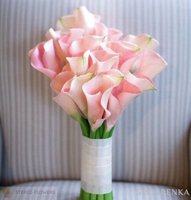 Stereo Flowers