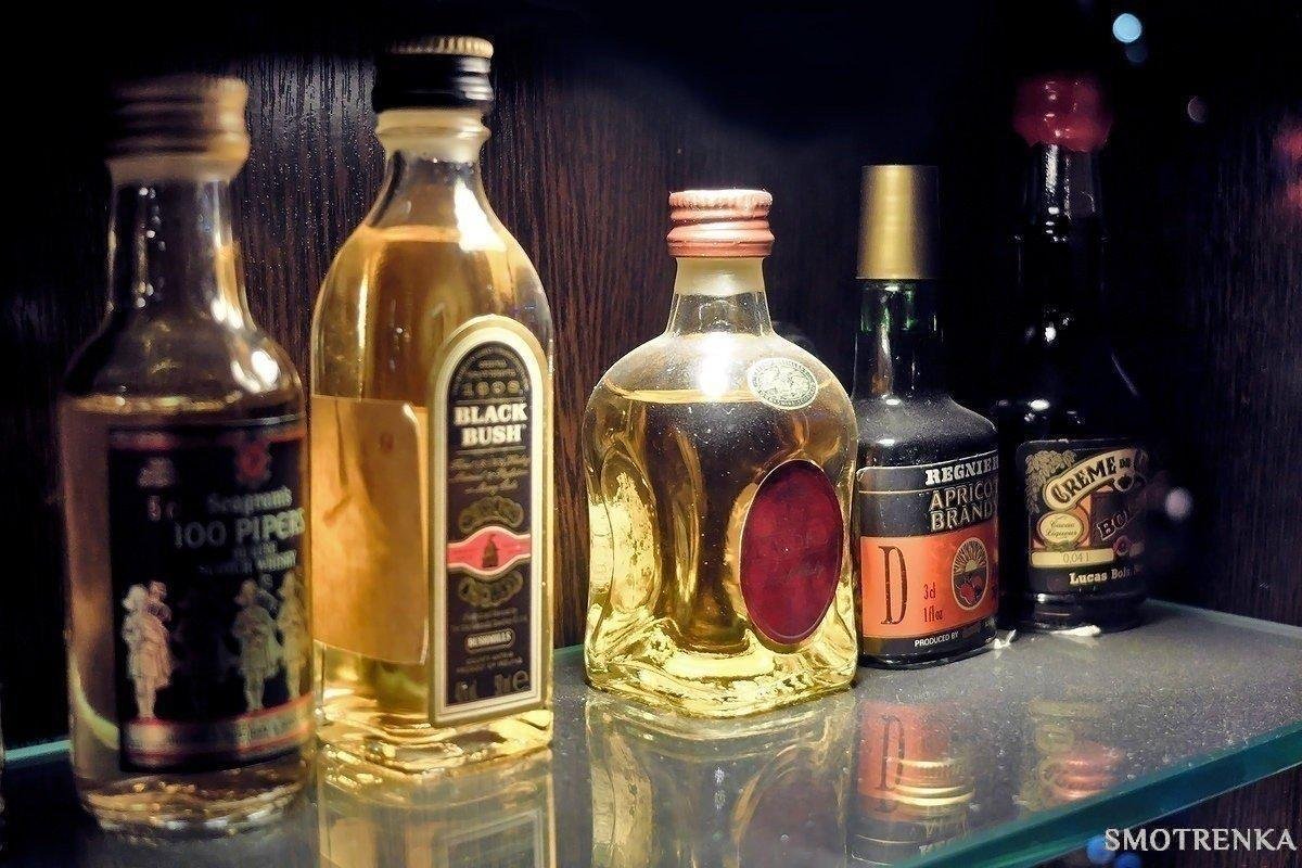 Клуб Мьюз