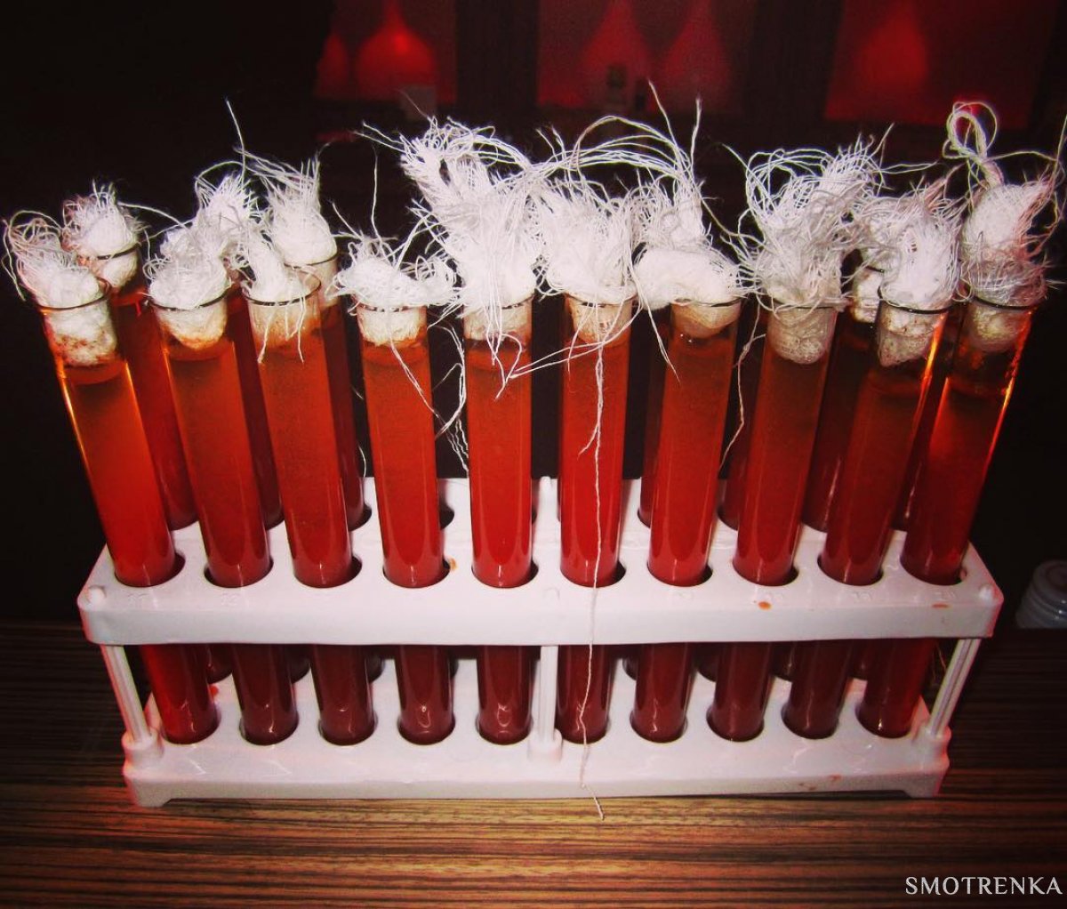 Flybar
