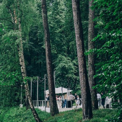 WDagency - концептуальные камерные свадьбы