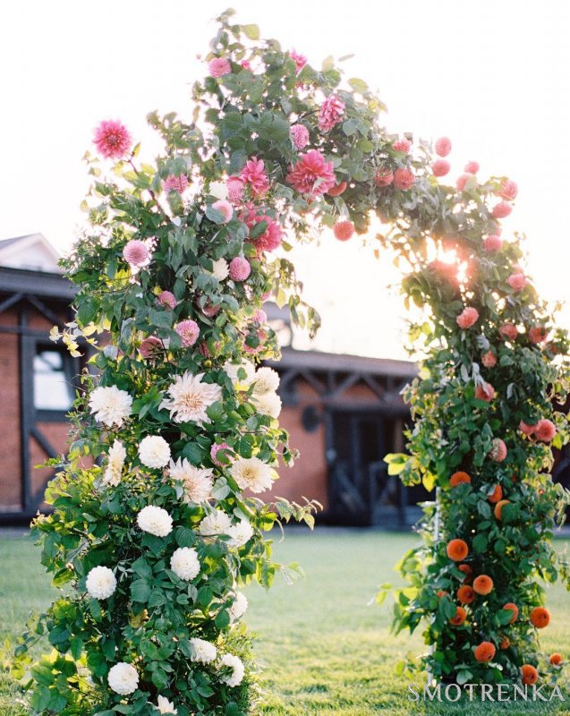 FlowerAndTheCity