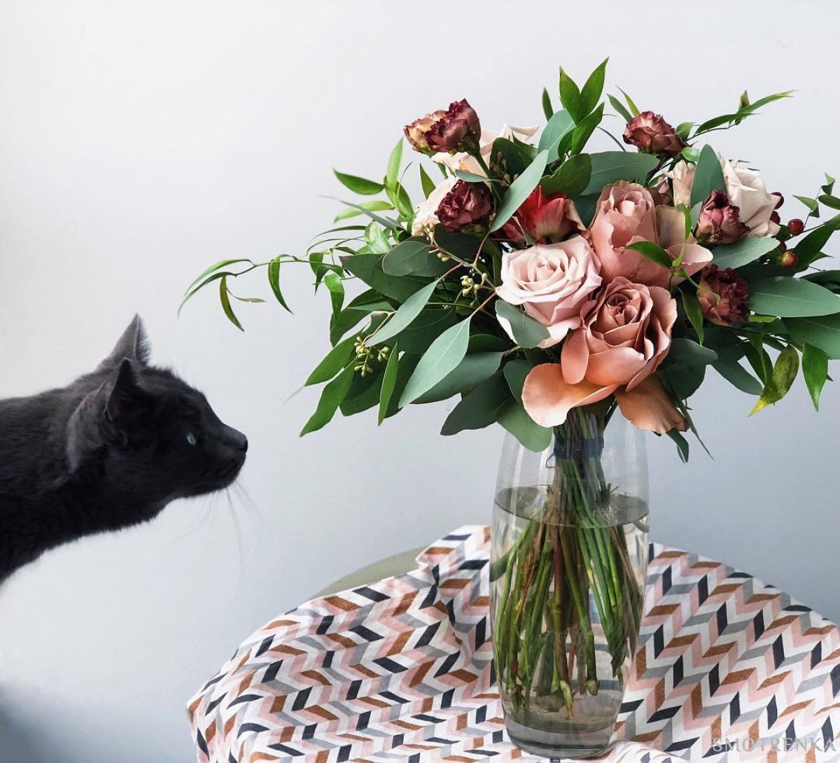 FlowerAndTheCity