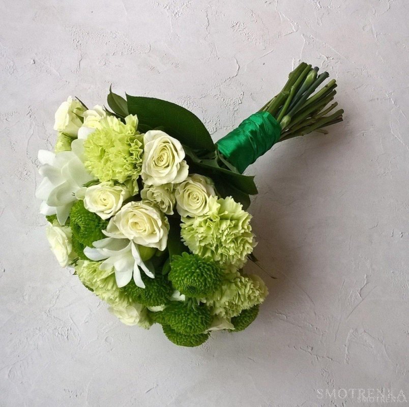 Храбровская Ирина