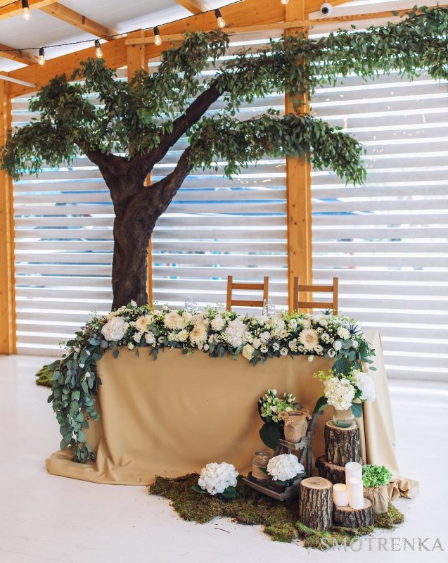 Ameli Decor