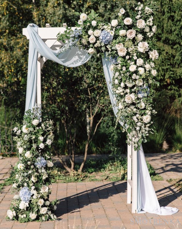 Flowers harmony