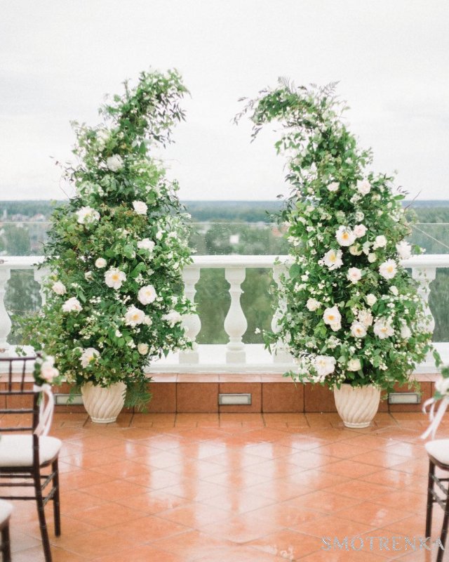 DreamLook Flowers