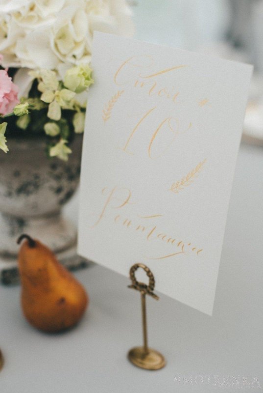 Bird Card