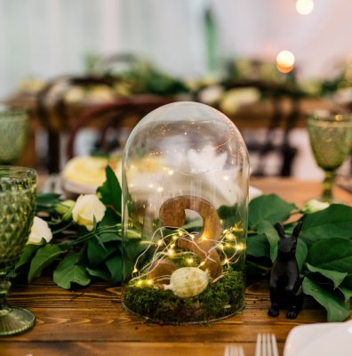 SOLNECHNAYA EVENTS