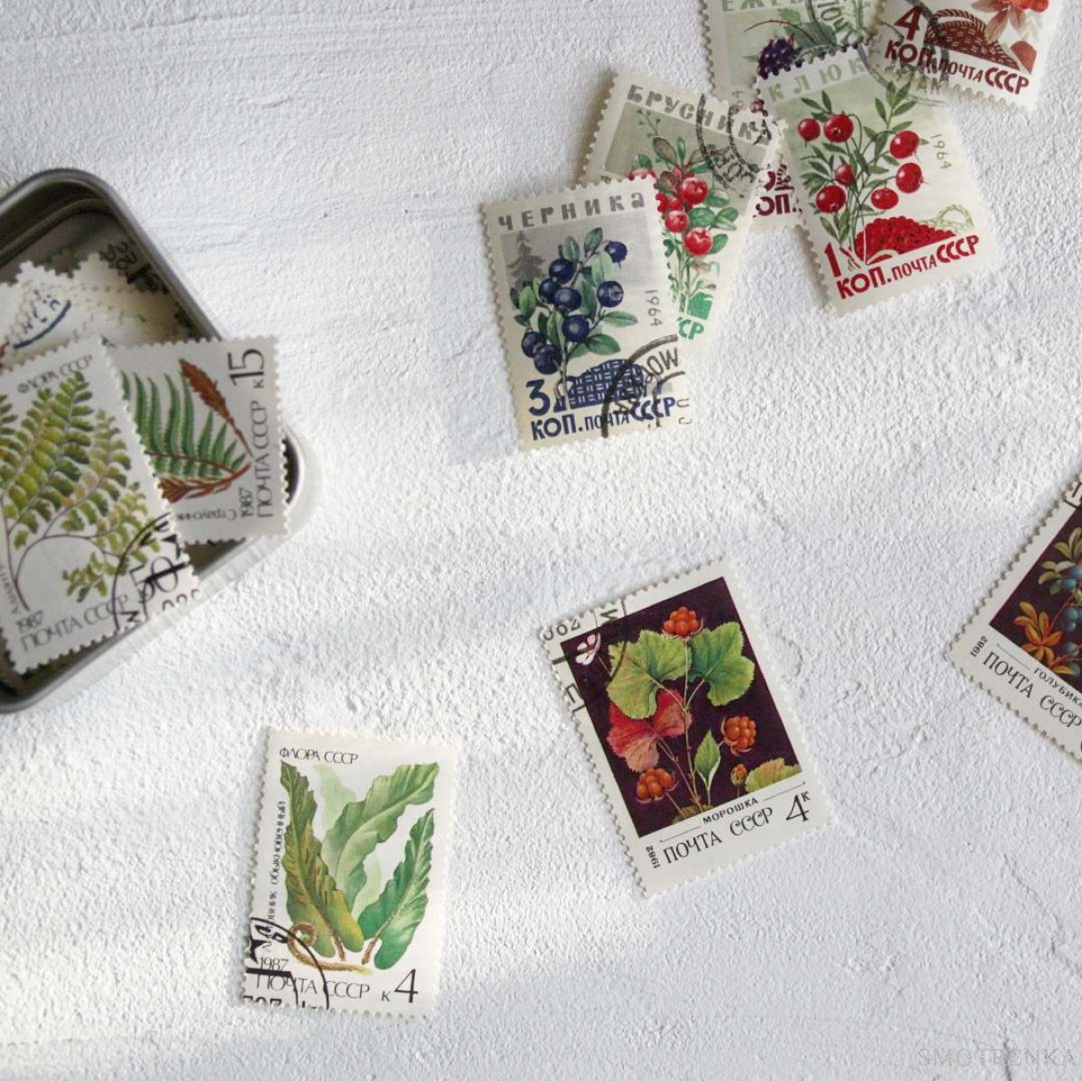 АЛЕКСАНДРА КАРТАМЫШЕВА