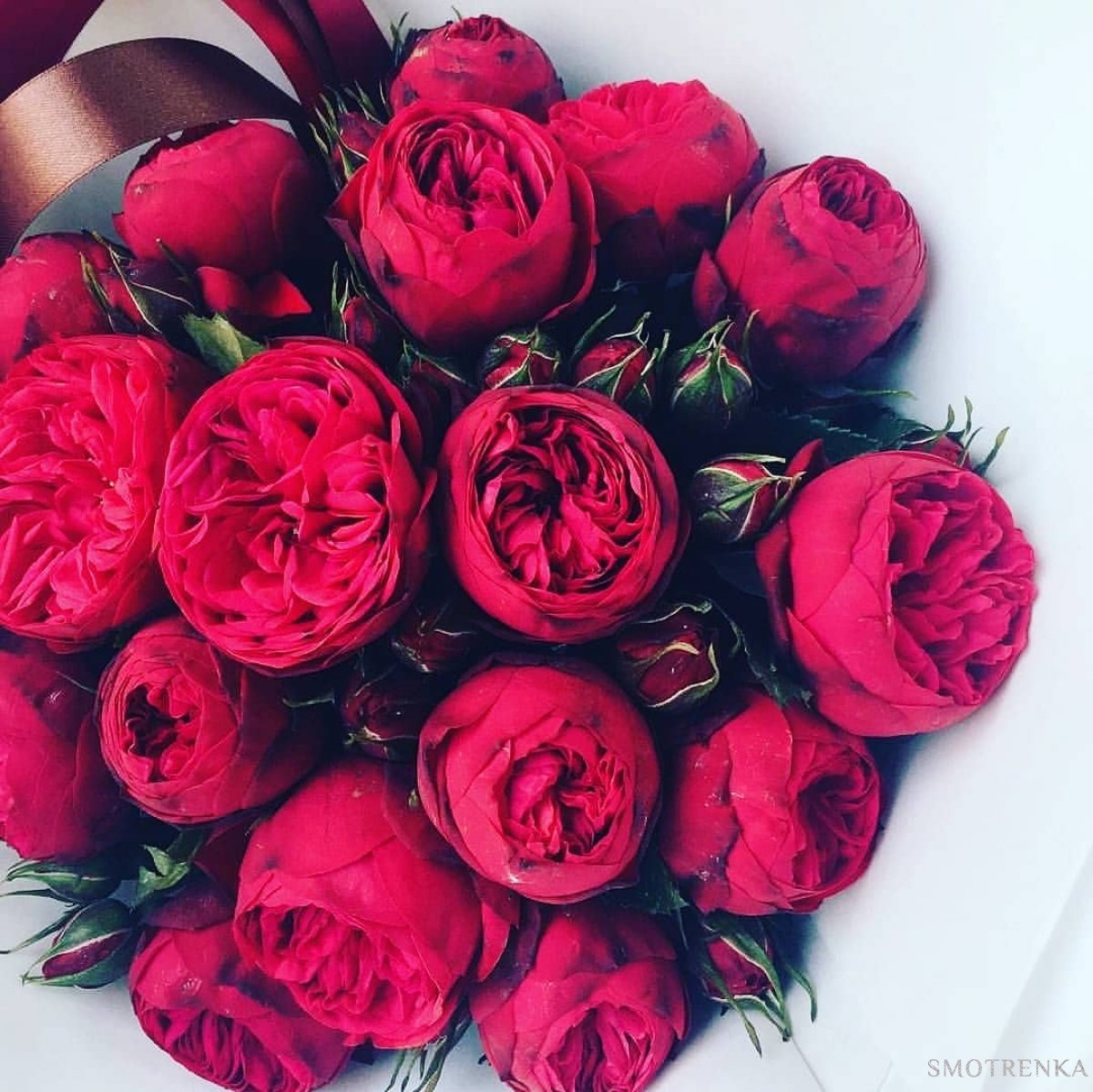 Dinas Flowers