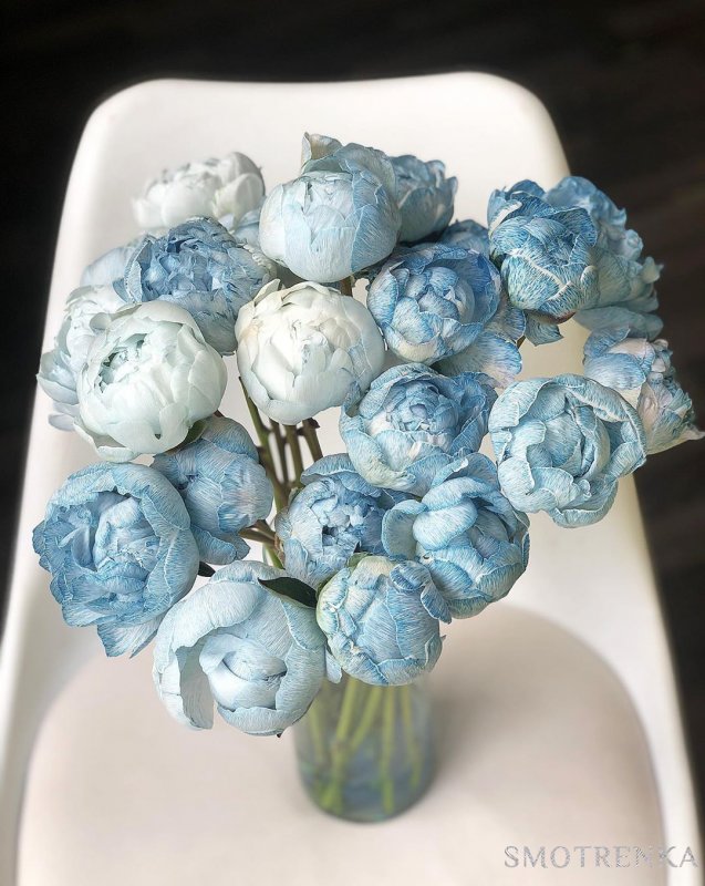Flowerslovers