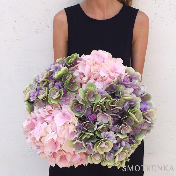 Flowerslovers