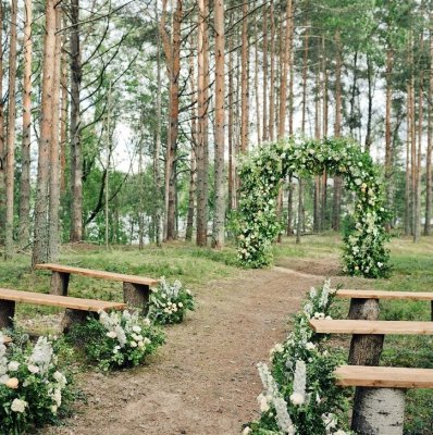 Wood and Bloom
