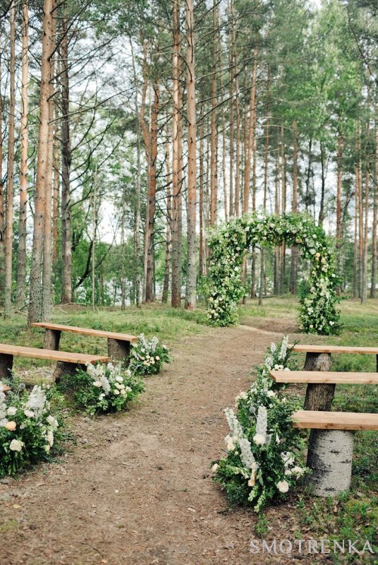 Wood and Bloom
