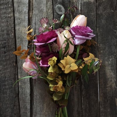 Wood and Bloom