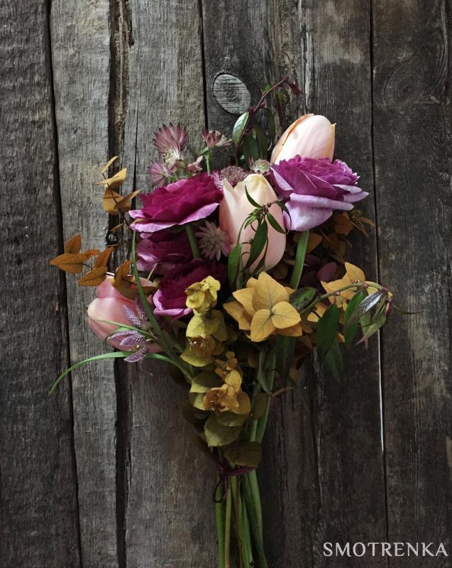 Wood and Bloom
