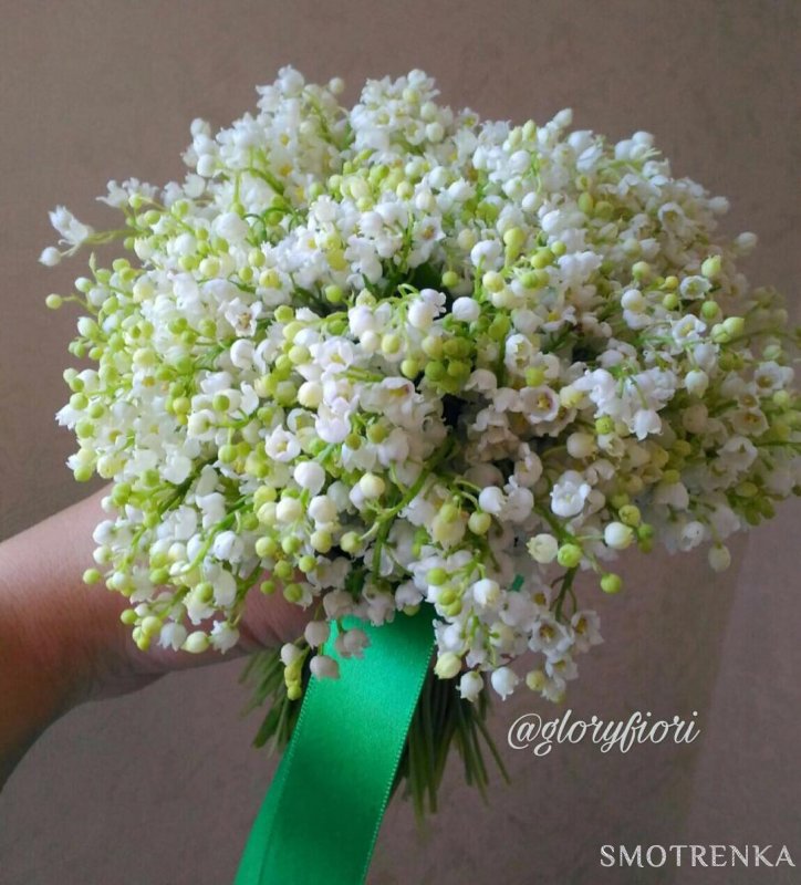 Gloryfiori
