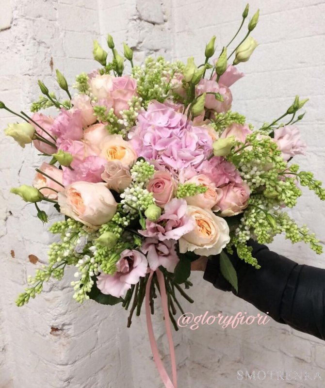 Gloryfiori