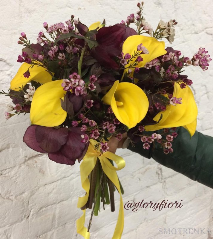 Gloryfiori