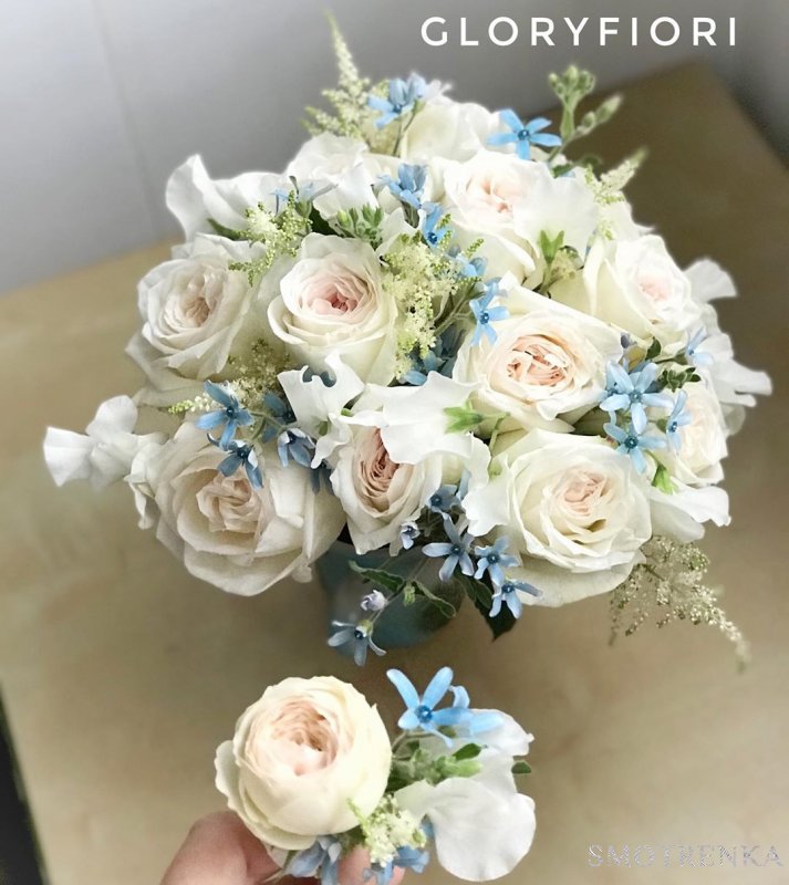 Gloryfiori