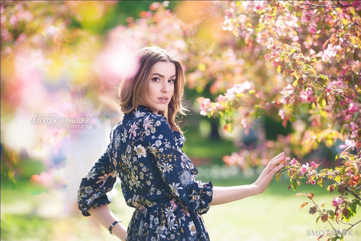 Команда Алексея Чернышева